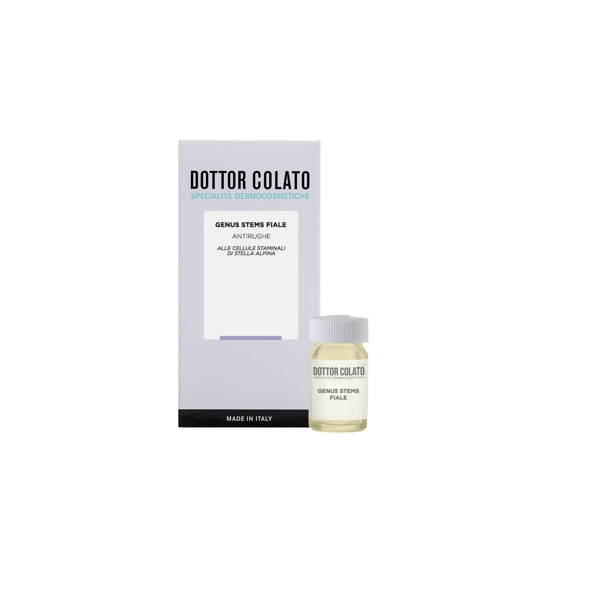 Dottor Colato Genus Stems Fiale Viso Stella Alpina