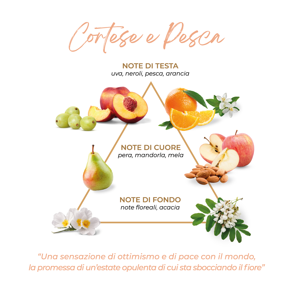 Alerasia Cortese e Pesca ricarica diffusore 250 ml